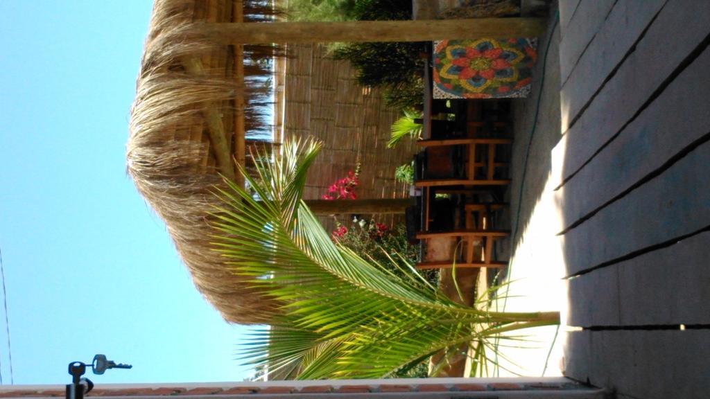 Lapa Lapa Lobitos Bungalows Hotell Eksteriør bilde