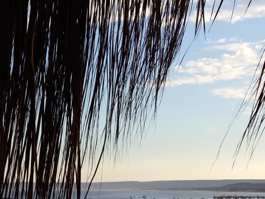 Lapa Lapa Lobitos Bungalows Hotell Eksteriør bilde