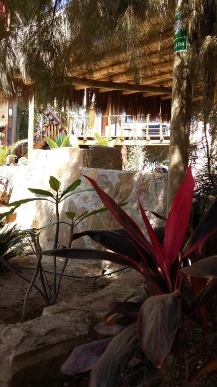 Lapa Lapa Lobitos Bungalows Hotell Eksteriør bilde
