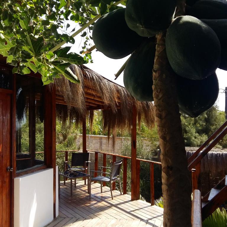 Lapa Lapa Lobitos Bungalows Hotell Eksteriør bilde